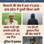 19 नवंबर 2025